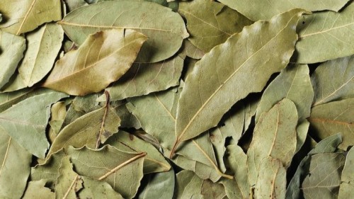 Premium Dried Bay Leaf – Aromatic & Flavorful