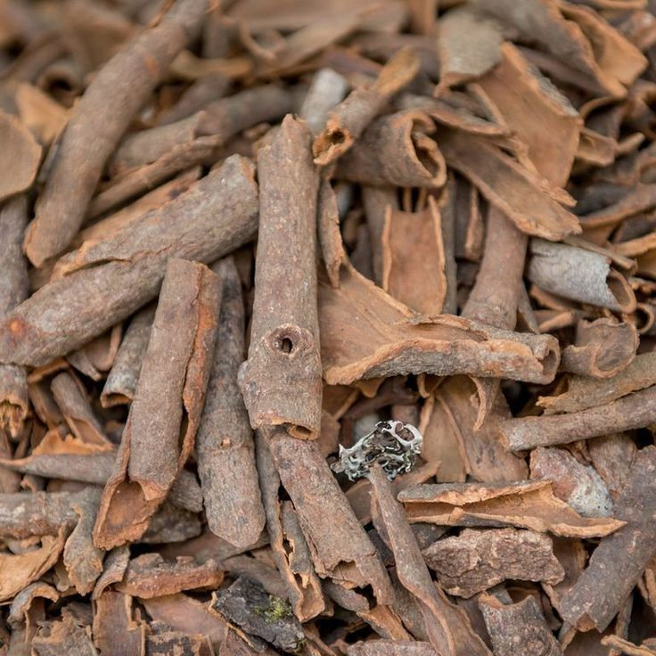 Premium Cinnamon Sticks – Aromatic & Naturally Sourced