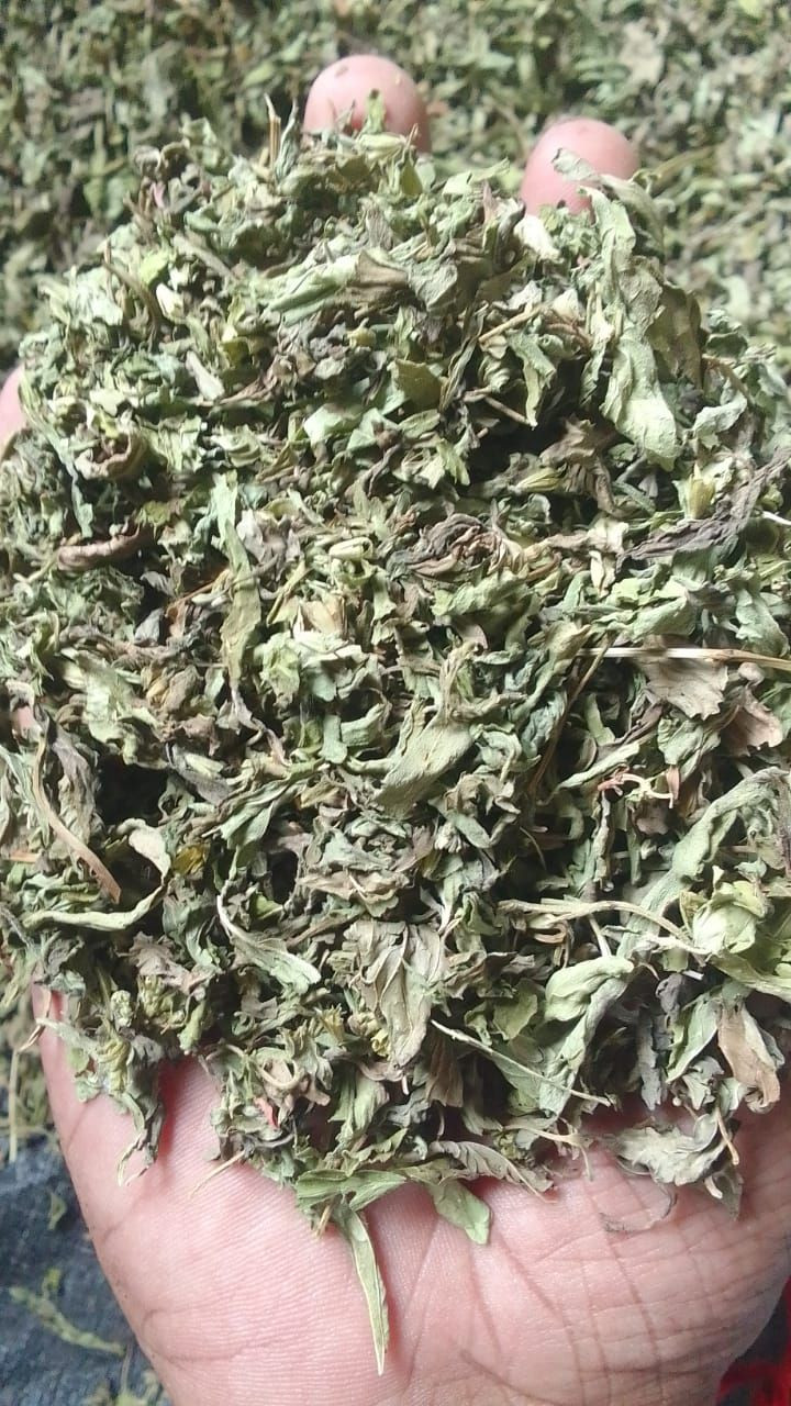 Natural Sweetener Stevia Leaves